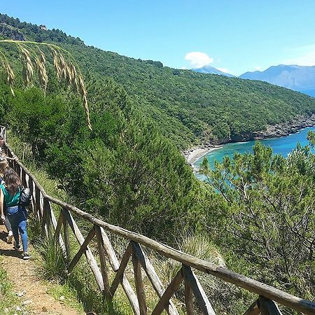 Residence Li Cylentos Policastro Scario A 2 Passi Dal Mare Policastro Bussentino Bagian luar foto